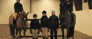 Piteås elitlag hårdsatsar inför premiären