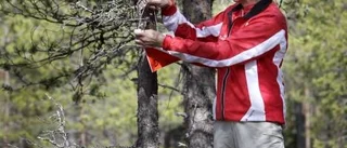 Naturpasset ska locka dig ut i naturen