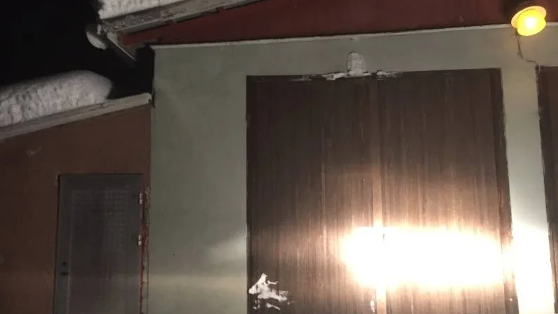 Dödsstörtade. Älgkalven föll från garagetaket och dog en ögonblicklig död.