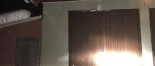 Älg föll från taket