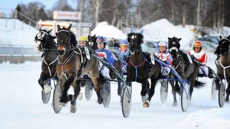 MOT SEGERN. Skellefteåkusken Jens Eriksson och valacken Nickel Tabac är på väg mot segern i V5-2 på Peabtravet under söndagen.