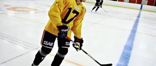 Nya Luleå Hockey på is