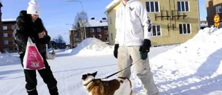 Stillsamt trots OS-guldet