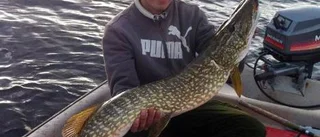Nicklas vann Gäddfajten