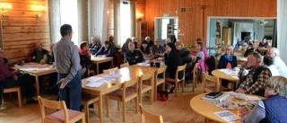 Arjeplog först med glesbygdsservice