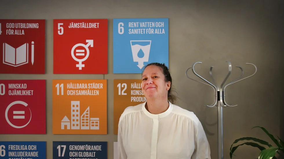 Caisa Skoggren är jämställdhetsstrateg på länsstyrelsen och har tagit fram en plan för hur myndigheten ska arbeta med frågan.