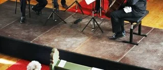Värmande Schumann-frossa