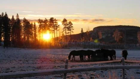 Mitt på dagen i december syns solen en kort stund innan den försvinner bakom Kvällsberget. Bilden är tagen i Stockfors.