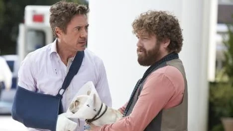 Resa i respektlöst land: Robert Downey Jr, Zach Galifianakis och en onanerande mops i "Due date".