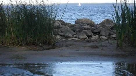 Septemberstund på Svartnäsudden, Norra Pitholm. Grå himmel och blåsigt väder med vilda vågor. En segelbåt blir synlig.