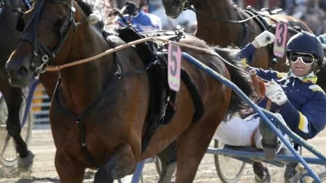 Johnny Takter tog en överlägsen V 75-seger med nye varmblodsstjärnan Sanity i omgången som avgjordes på Umåker. (Arkivbild)