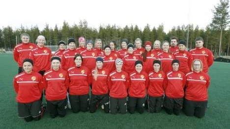 Här har ni ett helt nytt lag som ställer upp till seriespel i damernas division 4. Hemmingsmark IF är tillbaka efter 19 (!) års uppehåll med damfotbollen.
