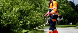 Ändrade regler för feriejobb