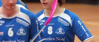 Rena rama rysaren