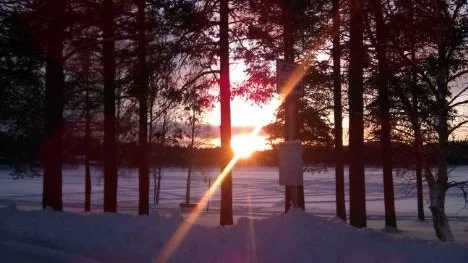 Kvällssolen kikar fram mellan träden vid Nyborgstjärn i Arvidsjaur.