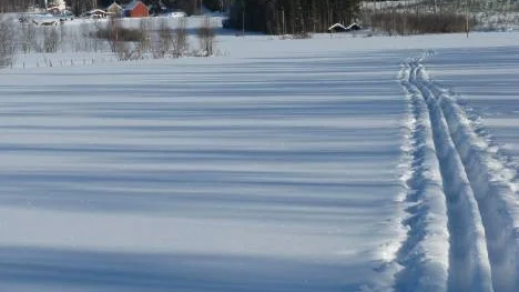 Gnistrande snöfält och de långa blåa skuggornas tid, fotat under en skidtur i Stockfors.