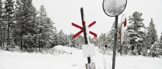 Fällande dom för hundspannsförare