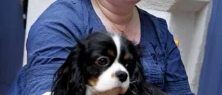 Kennel med topphundar