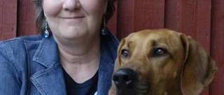 Hunden blir allt äldre
