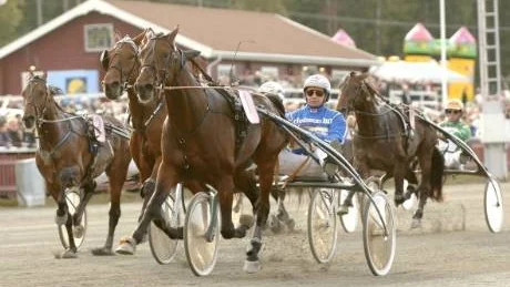 Hopplöst. Clear Sign var Norrbottens sista segerhopp men i stället var det Hope - Bob Hope - som vann på snabba tiden 1.12,5. Foto: KANAL 75