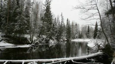 Bilden är tagen i Anders Jöncha backen i Vistbäcken, Älvsbyn, en vinterdag då snön äntligen hade fallit efter att det hade varit blött och grått en lång period.