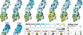 Så blir julvädret