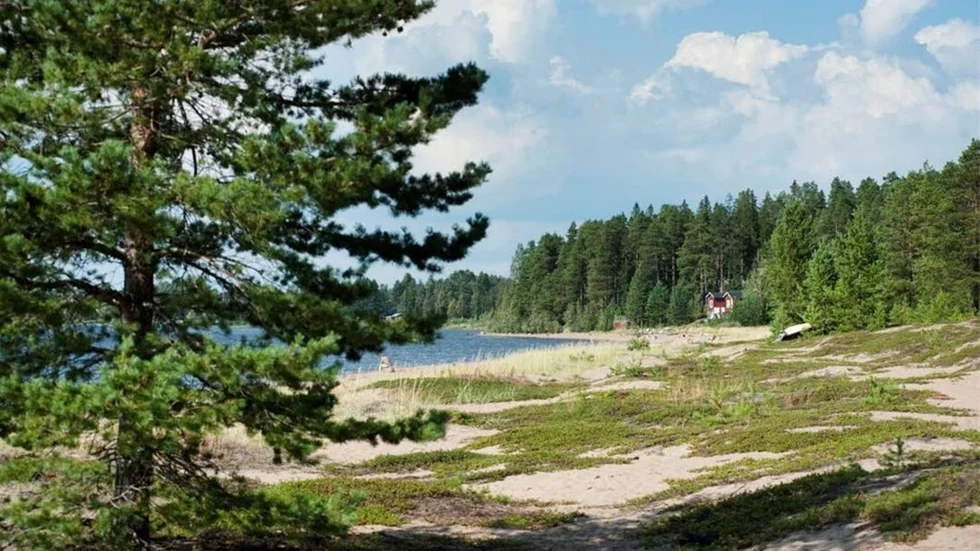 STRANDSKYDD. Länsstyrelsen ser över strandsskyddsområdena i länet. De föreslår färre områden med utvidgat strandskydd från 2015.