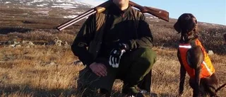Ripstammen ser ut att återhämta sig