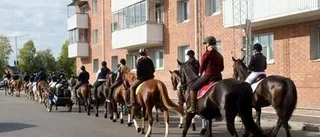 En riktig fest med mest häst