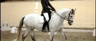 Dixie visade vinnarstil