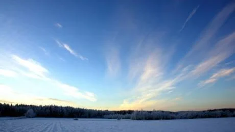 STRIMMOR AV HOPP. Det är en mörk årstid, men snart vänder det och blir ljusare för var dag som går. Foto: LARS-HENRIK ANDERSSON