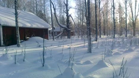 Vintermotiv från Rosvik.