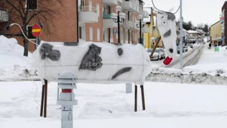En rondellko placerades i cirkulationsplatsen vid kommunhuset efter Storgatan i Älvsbyn för en månad sedan. Nu har troligtvis samma skapare varit framme igen. (Arkivbild)