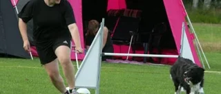 Pitetjejer till Göteborg för riksfinal i agility