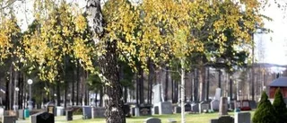 Gravvård