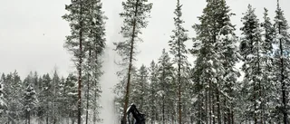 Avverkningsålder förblir oförändrad