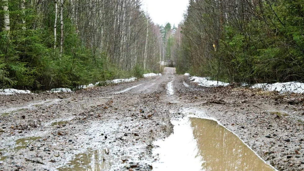 Lervälling. Någon eller några har kört här innan vägen torkat upp. Nu måste Bertil Riström hyvla sin skogväg och lägga på grus för att få den farbar för transporter av timmer.