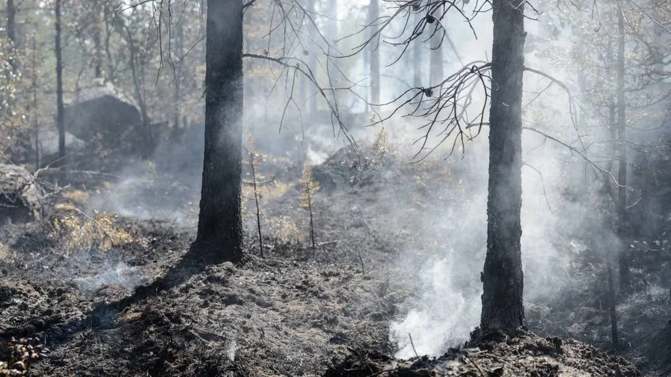 Skogsbranden i Klockarmyren, Jokkmokk, är nu under kontroll, men flera dagars arbete återstår.