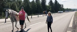 Hjältarna på E4:an