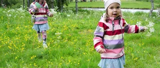 Midsommarfirande på Hembygdsområdet