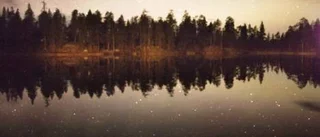 Skogssamelivet i närbild