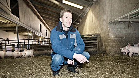 Sven-Erik Eriksson, grisbonde i Västerensta.