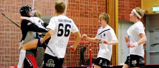 Sirius och FBC till SM-slutspel