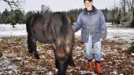 Hans Tibell med islandshästen Neisti har inga planer på att överge Söderön.