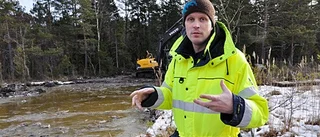 Grodor får nytt hem med soldäck