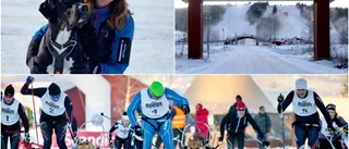 Petades från SM-veckan – dukar upp till egen skidfest på Lindbäcksstadion: "En spännande sport där mycket kan hända"