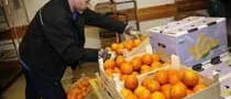 Ekomat inget för kommunerna