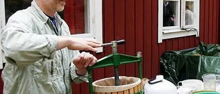 Skördefest till Pomonas ära