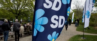 Lokal SD-politiker hoppar av