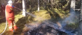 Mindre gräsbrand i Hållnäs